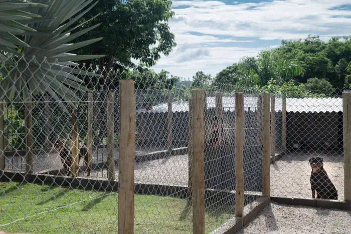 Estrutura do Canil Von Beretta &mdash; foto 36 de 57
