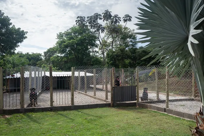 Estrutura do Canil Von Beretta &mdash; foto 37 de 57