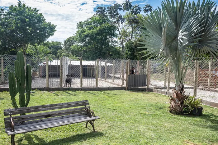 Estrutura do Canil Von Beretta &mdash; foto 43 de 57