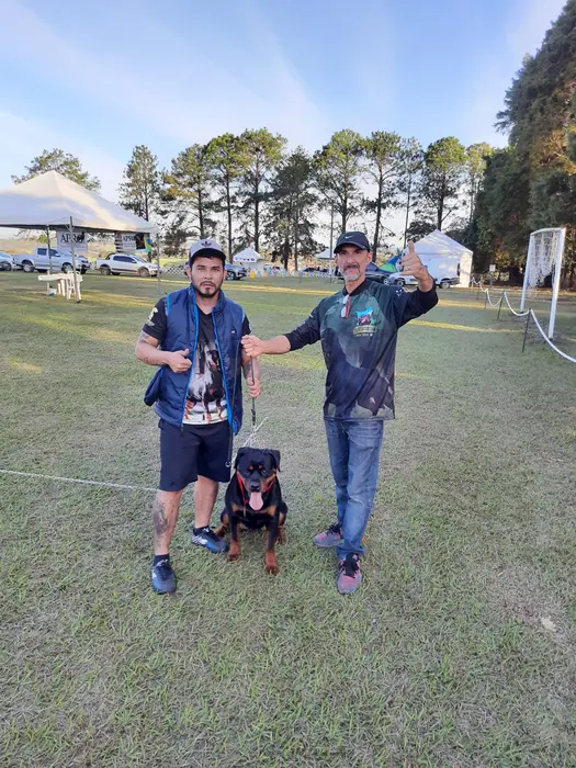 Rottweiler do Canil Von Beretta em exposição &mdash; foto 4 de 34