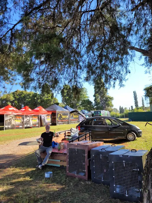 Rottweiler do Canil Von Beretta em exposição &mdash; foto 8 de 34