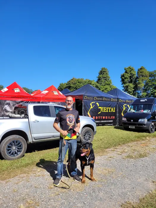 Rottweiler do Canil Von Beretta em exposição &mdash; foto 12 de 34