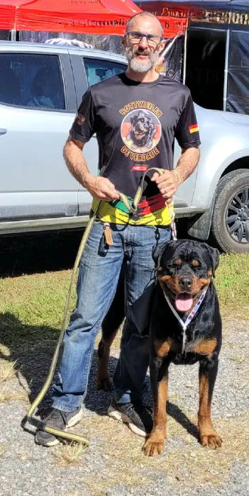 Rottweiler do Canil Von Beretta em exposição &mdash; foto 13 de 34
