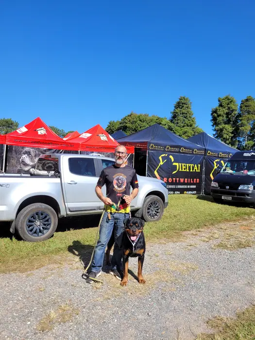 Rottweiler do Canil Von Beretta em exposição &mdash; foto 14 de 34
