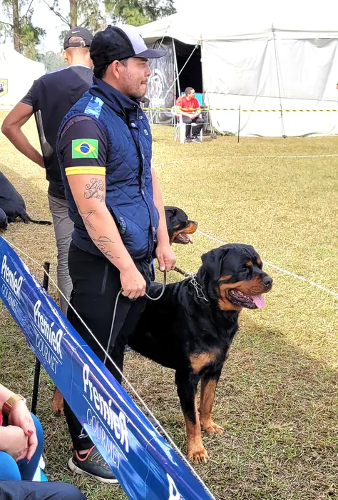 Rottweiler do Canil Von Beretta em exposição &mdash; foto 17 de 34
