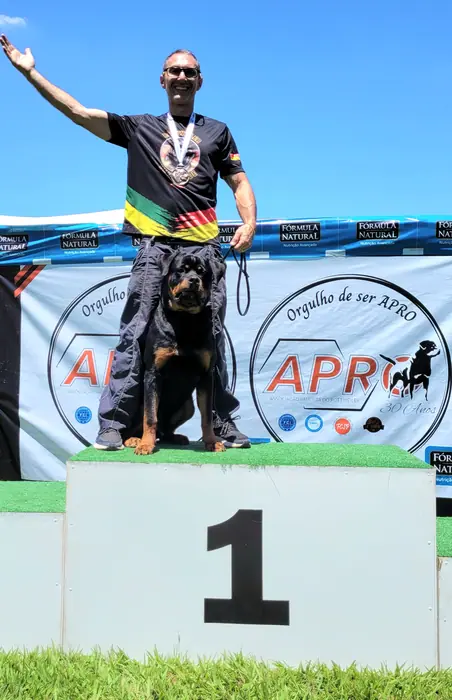 Rottweiler do Canil Von Beretta em exposição &mdash; foto 18 de 34