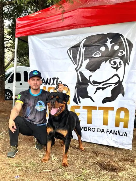 Rottweiler do Canil Von Beretta em exposição &mdash; foto 32 de 34
