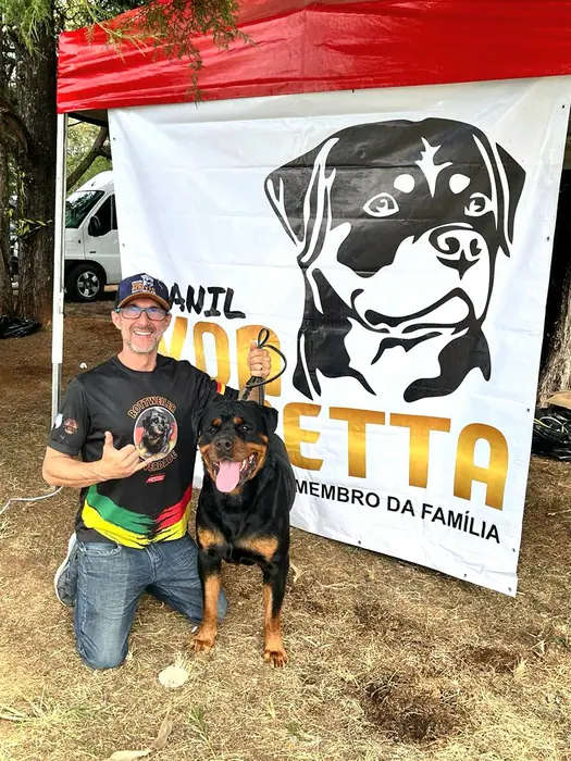 Rottweiler do Canil Von Beretta em exposição &mdash; foto 33 de 34