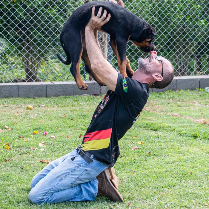 Filhote de Rottweiler do Canil Von Beretta &mdash; foto 51 de 88