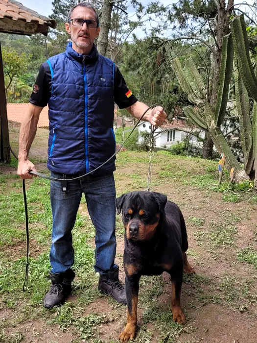 Reprodutor Rottweiler do Canil Von Beretta &mdash; foto 5 de 41