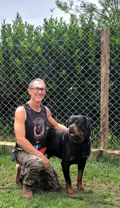 Reprodutor Rottweiler do Canil Von Beretta &mdash; foto 11 de 41