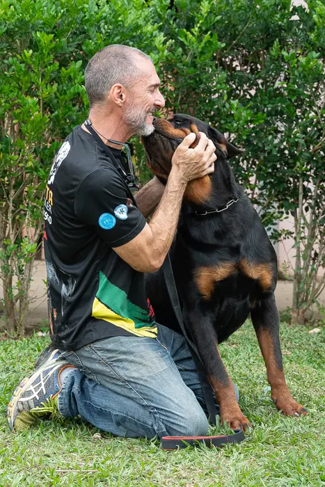Reprodutor Rottweiler do Canil Von Beretta &mdash; foto 17 de 41