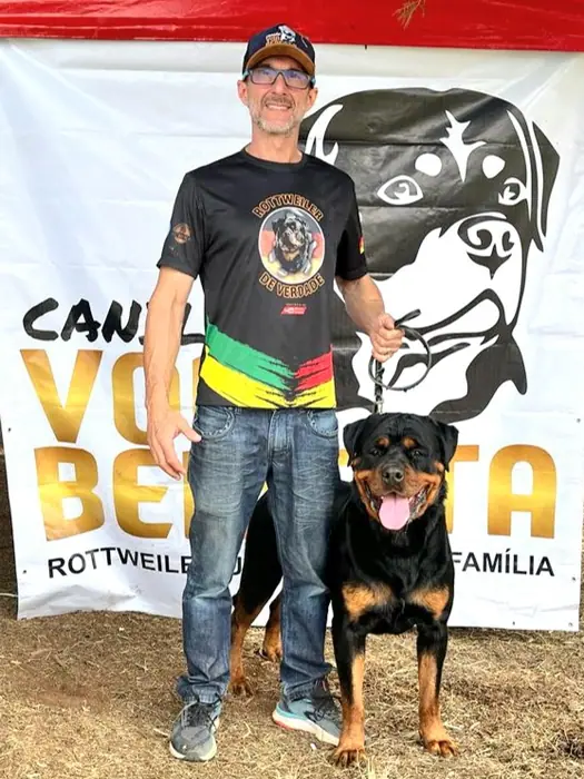 Reprodutor Rottweiler do Canil Von Beretta &mdash; foto 29 de 41