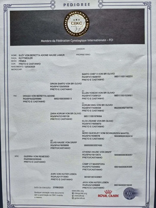 Pedigree CBKC/FCI de Rottweiler do Canil Von Beretta &mdash; documento 1 de 28