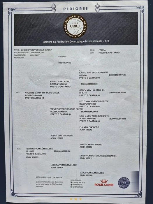 Pedigree CBKC/FCI de Rottweiler do Canil Von Beretta &mdash; documento 6 de 28