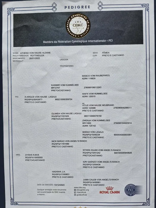 Pedigree CBKC/FCI de Rottweiler do Canil Von Beretta &mdash; documento 8 de 28