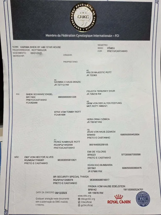 Pedigree CBKC/FCI de Rottweiler do Canil Von Beretta &mdash; documento 15 de 28