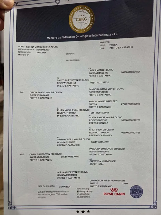 Pedigree CBKC/FCI de Rottweiler do Canil Von Beretta &mdash; documento 17 de 28