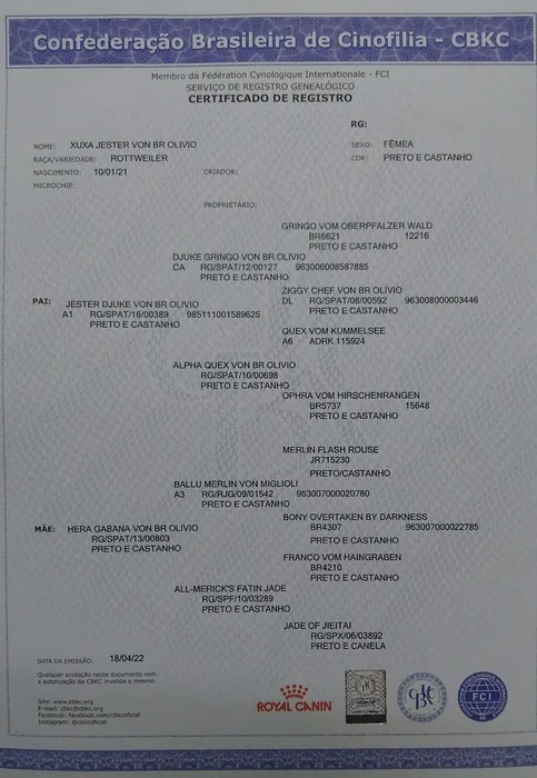 Pedigree CBKC/FCI de Rottweiler do Canil Von Beretta &mdash; documento 24 de 28