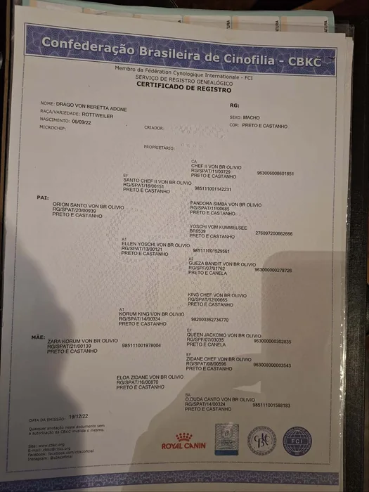 Pedigree CBKC/FCI de Rottweiler do Canil Von Beretta &mdash; documento 27 de 28