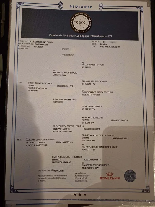 Pedigree CBKC/FCI de Rottweiler do Canil Von Beretta &mdash; documento 28 de 28